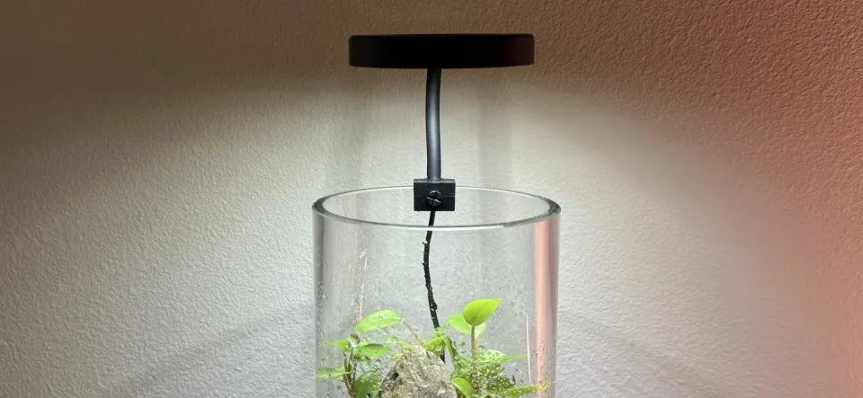 A smart terrarium light for around $20